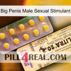 Big Penis Male Sexual Stimulant new06